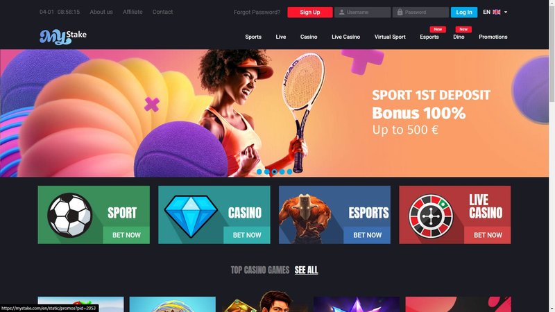 A look at my stake casino